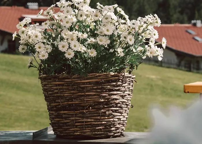 Hotel Vitalhotel Kaiserhof 4*